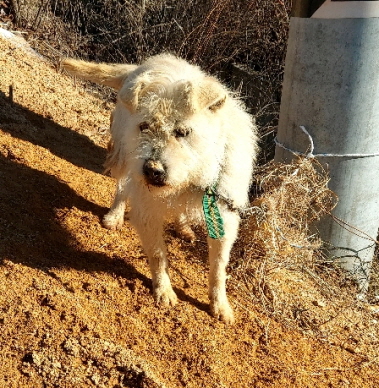 제일동물병원_444455202400035